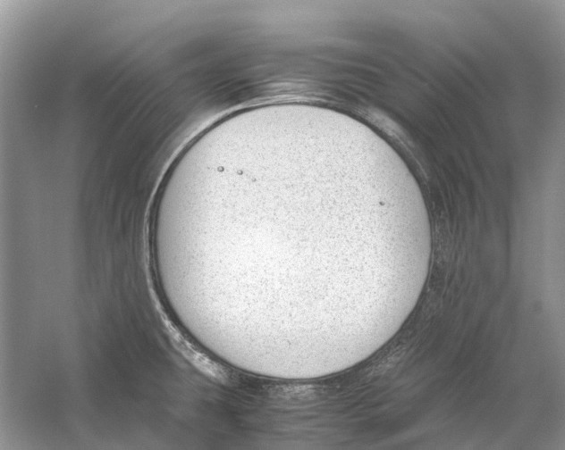 X0000060801431200512011721