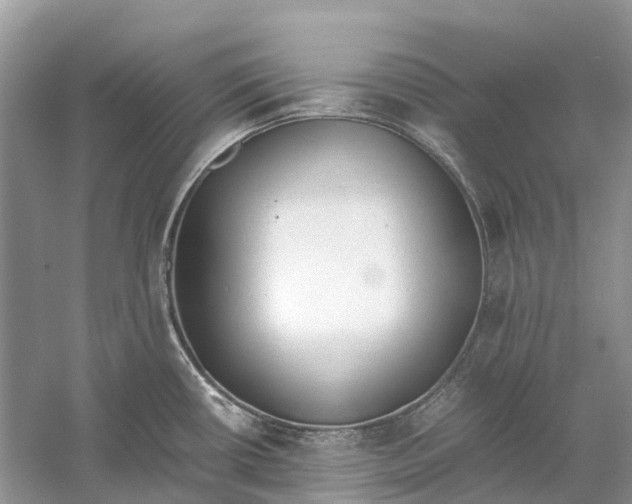 X0000060801434200512011721