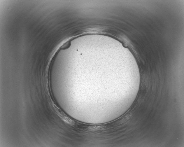 X0000060801435200512011721