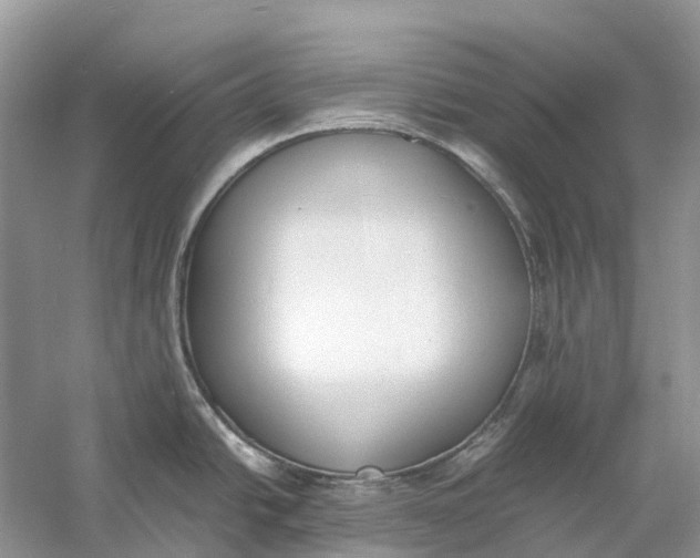 X0000060801438200512011721