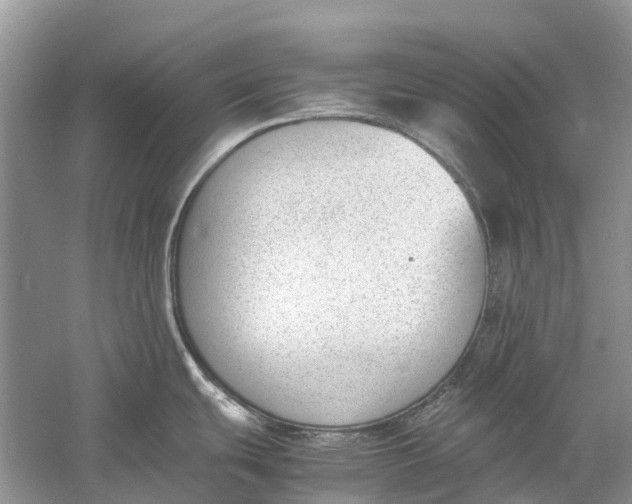 X0000060801439200512011721