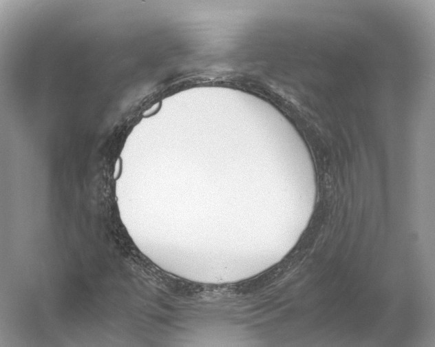 X0000060801447200512011720