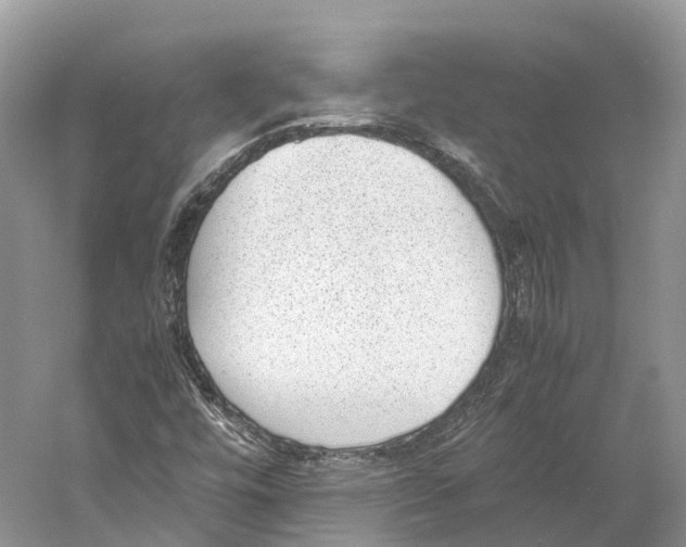 X0000060801448200512011720