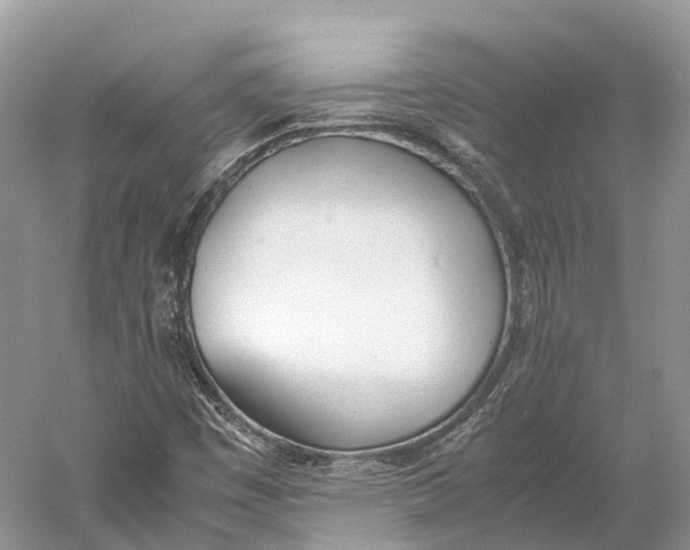 X0000060801449200512011720