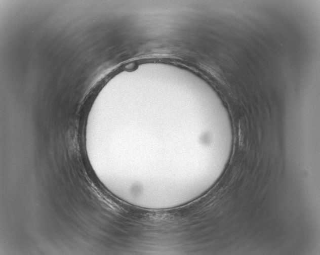 X0000060801452200512011720