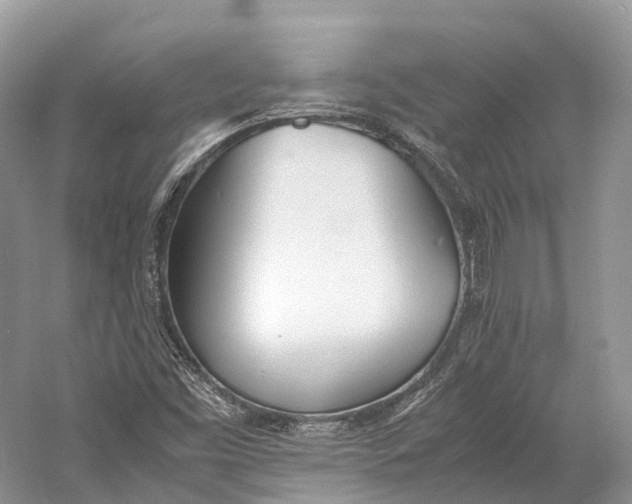 X0000060801453200512011720