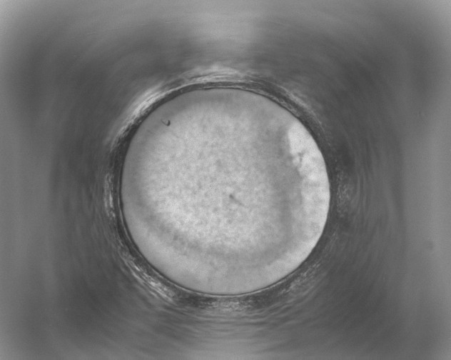 X0000060801455200512011720