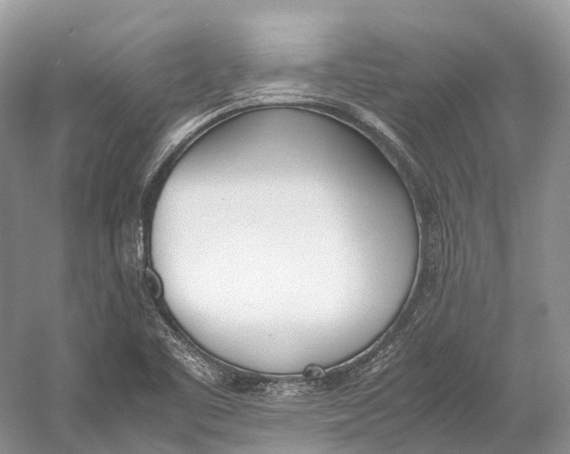 X0000060801461200512011720