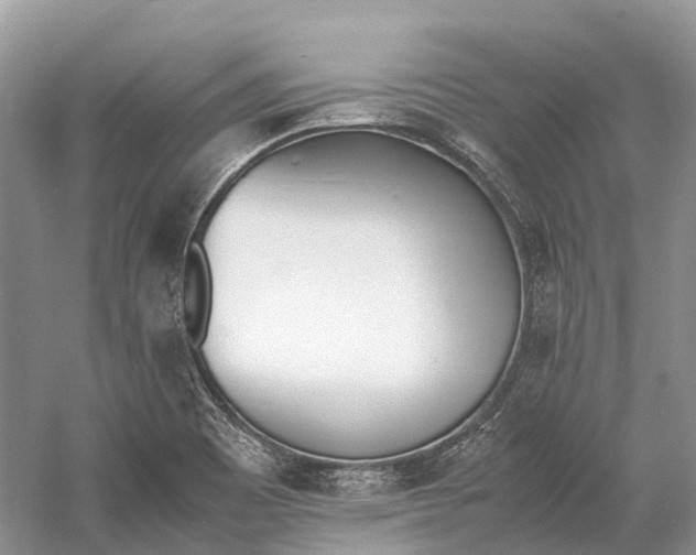 X0000060801465200512011720