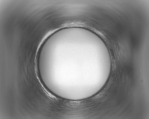 X0000060801470200512011720