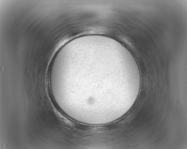 X0000060801471200512011720