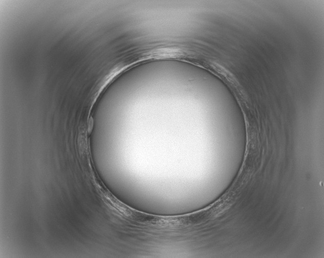 X0000060801473200512011720