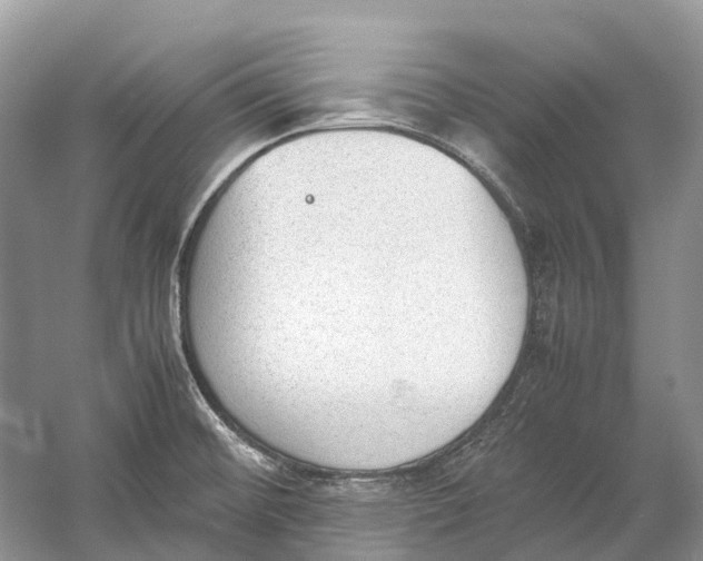 X0000060801476200512011719