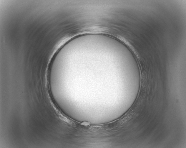 X0000060801477200512011719