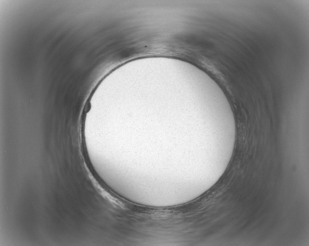 X0000060801479200512011719