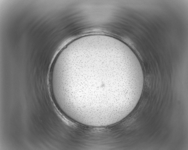 X0000060801482200512011719