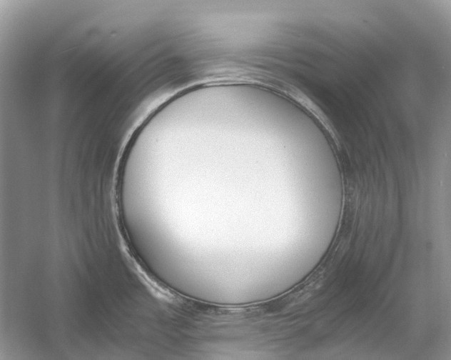 X0000060801485200512011719