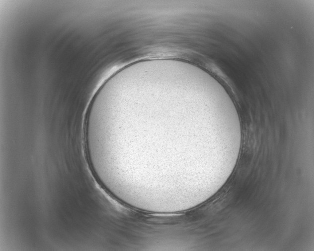 X0000060801487200512011719