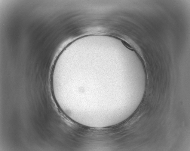 X0000060801488200512011719