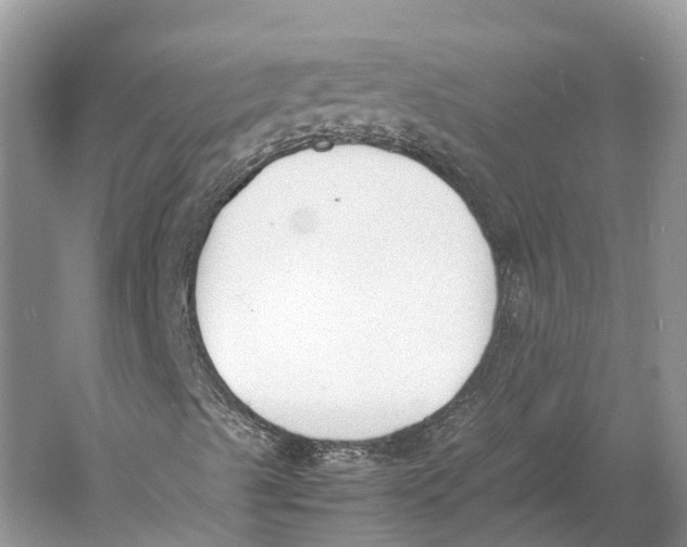 X0000060801489200512011718