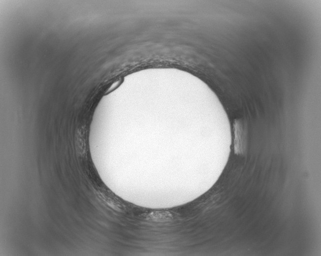 X0000060801491200512011718