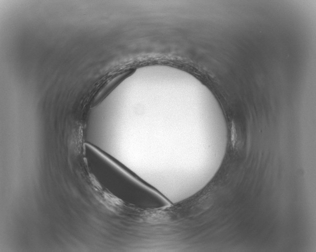 X0000060801492200512011718