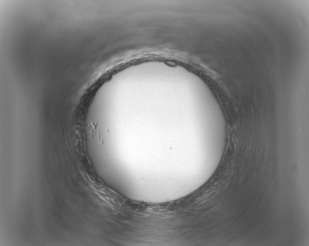 X0000060801496200512011718