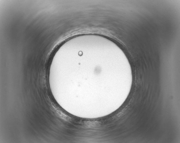 X0000060801498200512011719