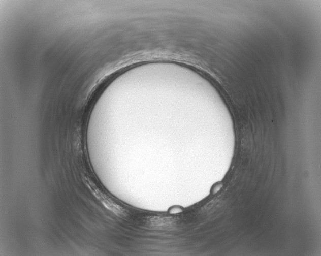 X0000060801499200512011719