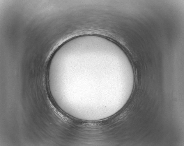 X0000060801500200512011719