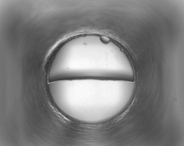 X0000060801502200512011719