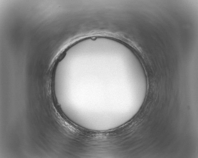 X0000060801504200512011719