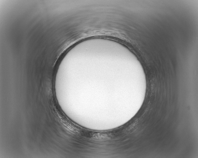 X0000060801505200512011719