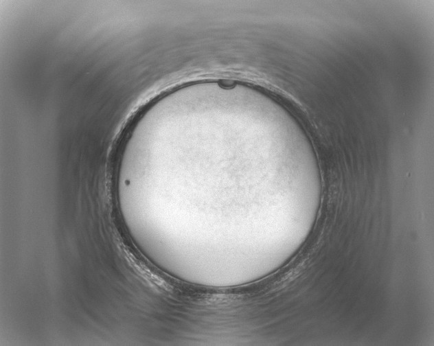 X0000060801506200512011719