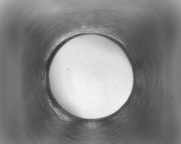 X0000060801507200512011719