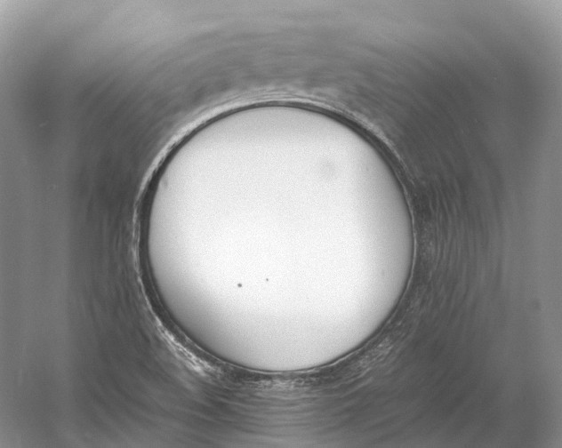 X0000060801508200512011719