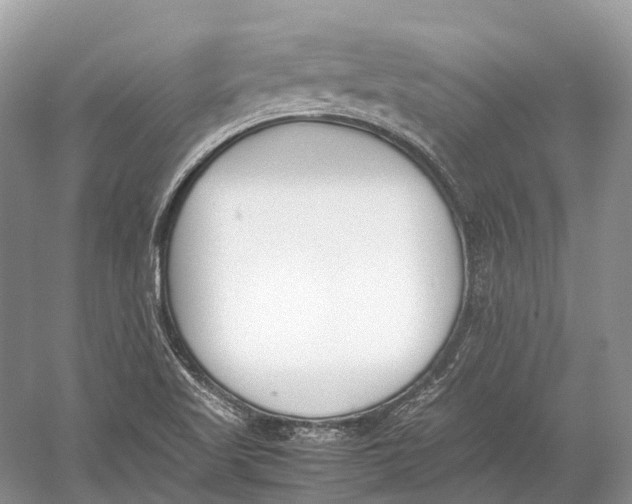 X0000060801509200512011719