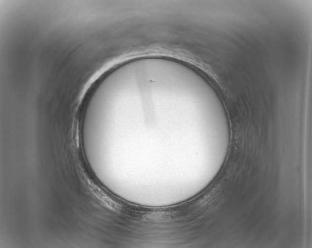 X0000060801510200512011719