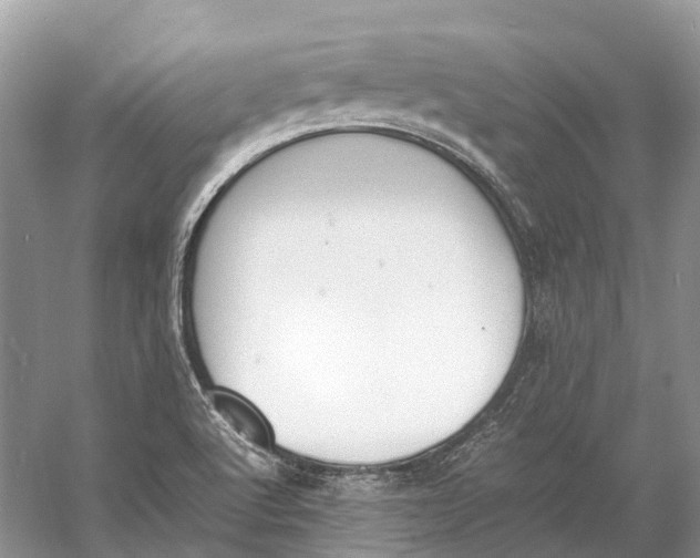 X0000060801512200512011719