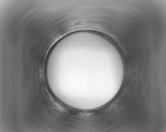 X0000060801513200512011719