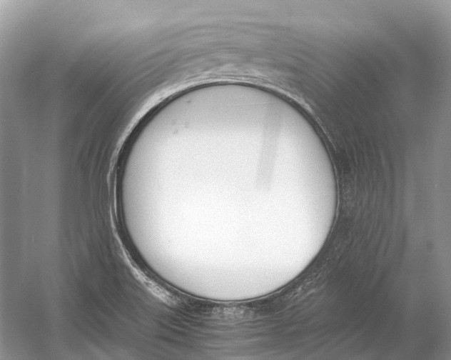 X0000060801515200512011719