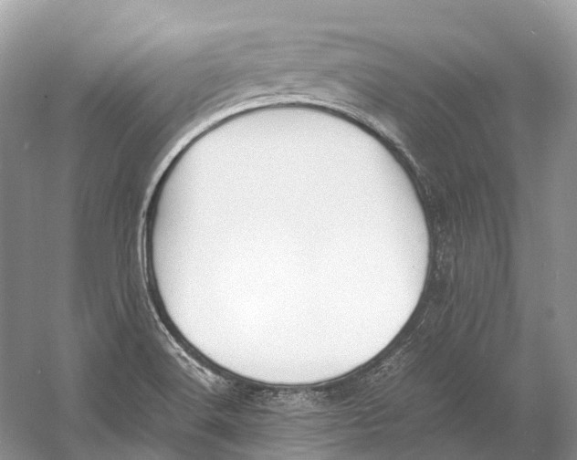 X0000060801516200512011719