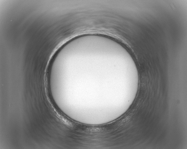 X0000060801517200512011719