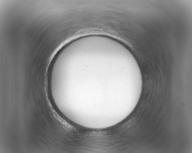 X0000060801518200512011719