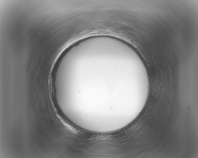 X0000060801519200512011719