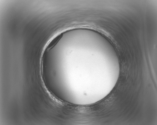 X0000060801520200512011719