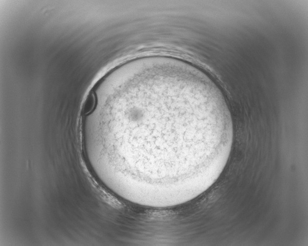 X0000060801522200512011719