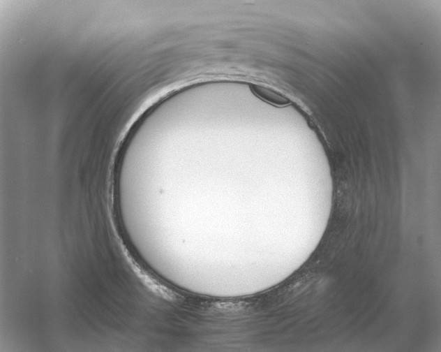 X0000060801523200512011719