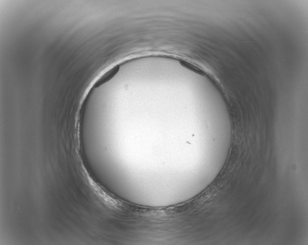 X0000060801524200512011719