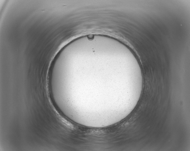 X0000060801525200512011719